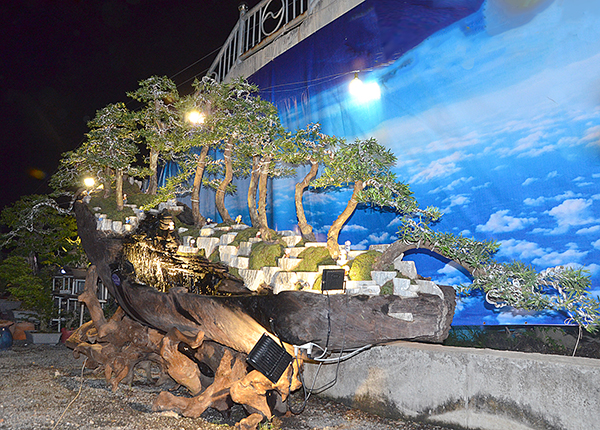 Chiếc thuyền bonsai lung linh khi về đêm.