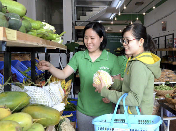 Khách chọn mua trái cây tại cửa hàng nông sản sạch Vifarm.