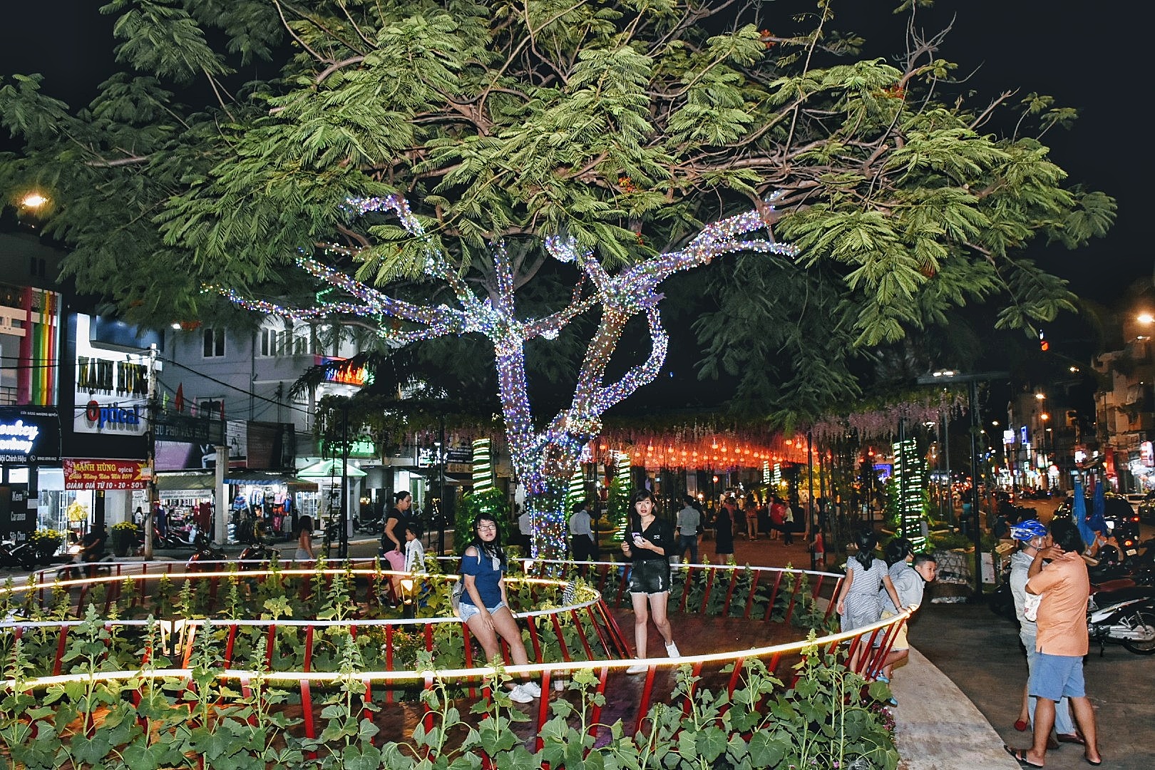 Đường hoa Trưng Trắc - Trưng Nhị (Hoa viên Trưng Vương) được thiết kế với ý tưởng là Đại dương xanh.