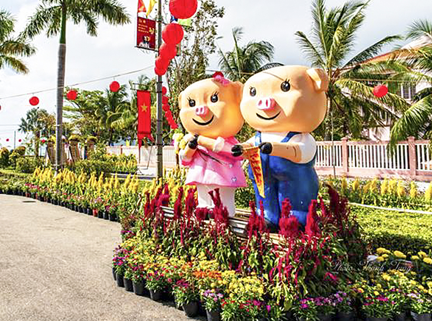 Gia đình nhà heo chào đón khách tại khu Hoa Xuân Kỷ Hợi 2019 của huyện Côn Đảo. Ảnh: CÔN SƠN