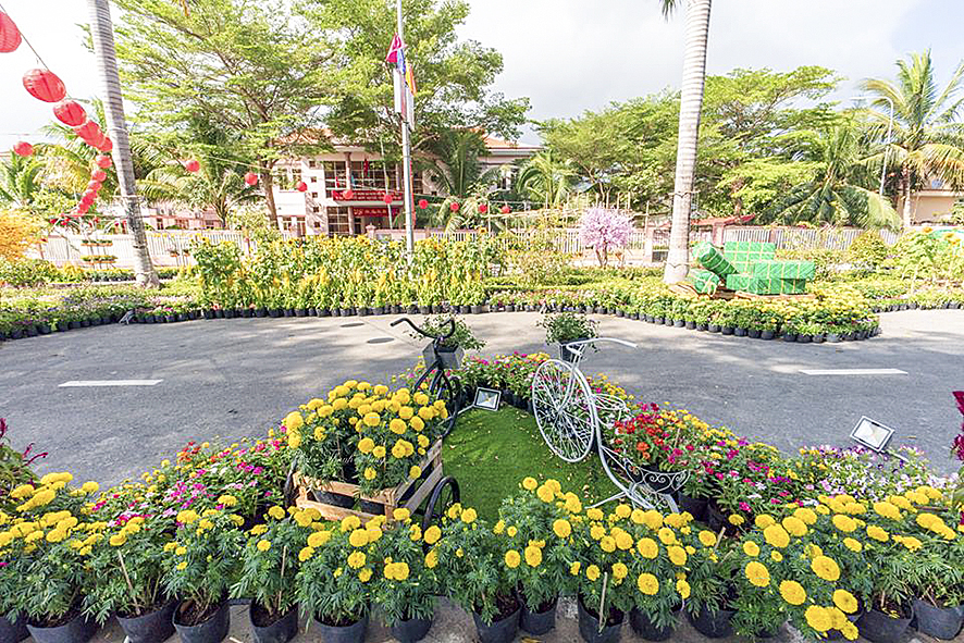 Một góc khu Hoa Xuân Kỷ Hợi 2019 của huyện Côn Đảo. Ảnh: CÔN SƠN
