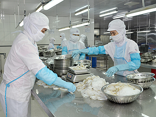 Công nhân Công ty TNHH Tứ Hải trong giờ sản xuất.