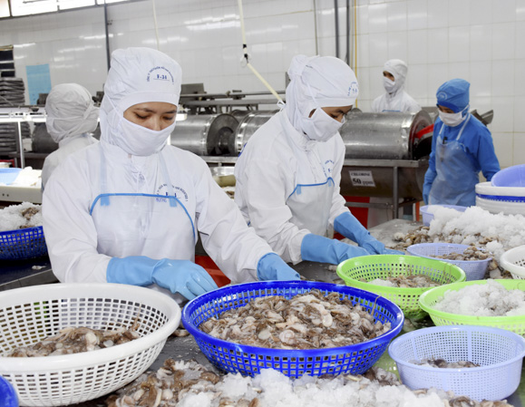 Công nhân Công ty Baseafood trên dây chuyền sơ chế hải sản xuất khẩu.  Ảnh: VÂN ANH