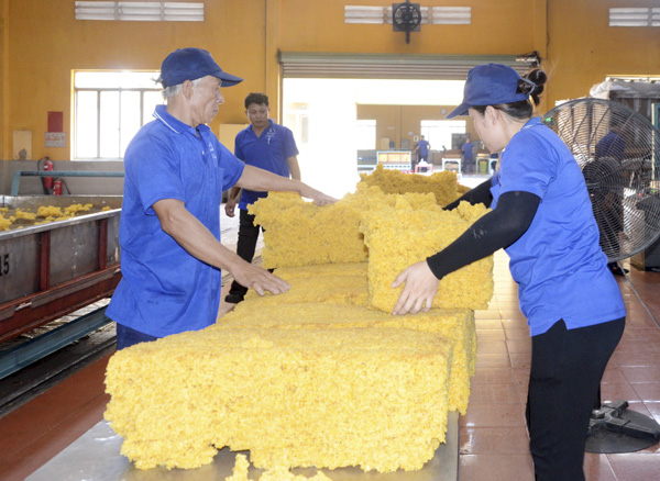 Sản xuất cao su tại Nhà máy cao su Xà Bang (Công ty CP Cao su Bà Rịa).