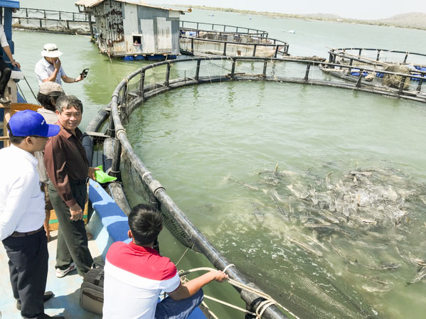 Nuôi cá bằng lồng làm bằng nhựa chịu lực HDPE giúp cá lớn nhanh hơn, môi trường nuôi thông thoáng hơn.
