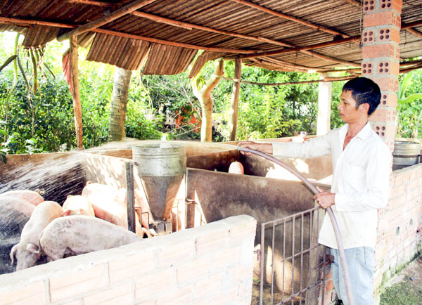 Anh Lê Anh Duy, ấp Liên Lộc, xã Xà Bang, huyện Châu Đức vệ sinh chuồng trại nuôi heo.
