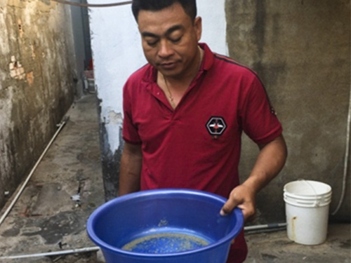 Anh Trần Văn Vỵ thành công với mô hình nuôi con giống nhuyễn thể hai mảnh vỏ.
