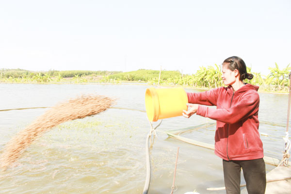 Chị Đoàn Thị Thúy, vợ anh Thắng (thôn 1, xã Suối Rao huyện Châu Đức) cho cá ăn.