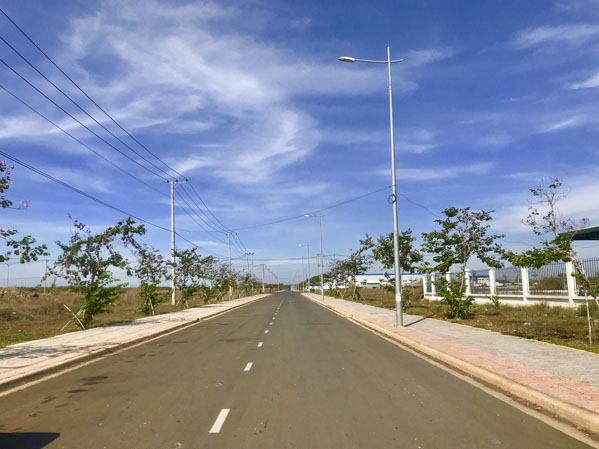 Hoa, cây xanh được trồng trên các tuyến đường trong KCN Đất Đỏ 1.  