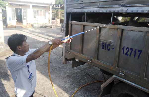 Cán bộ Tổ Kiểm tra liên ngành trên Quốc lộ 56, đoạn qua xã Xà Bang, huyện Châu Đức phun thuốc tiêu độc, khử trùng xe chở heo.