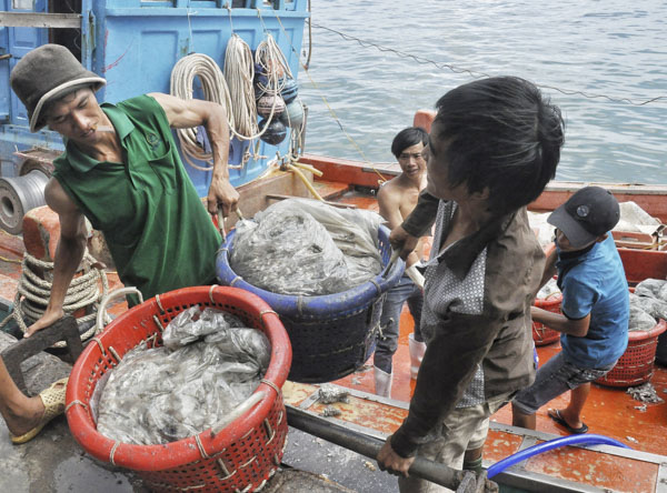 Ngư dân khi xuống hầm lấy cá cần thận trọng và trang bị kỹ năng phòng tránh ngộ độc khí. Trong ảnh: Ngư dân đưa cá từ hầm tàu lên bờ tại cảng cá Cát Lở (TP.Vũng Tàu).
