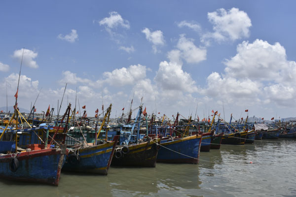 Do thiếu bạn ghe, nên nhiều tàu phải nằm bờ, chờ kiếm đủ lao động mới vươn khơi. Trong ảnh: Tàu cá cập cảng Phước Tỉnh, huyện Long Điền chờ kiếm bạn ghe.