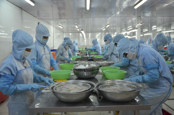 Chế biến hải sản xuất khẩu tại Baseafood.