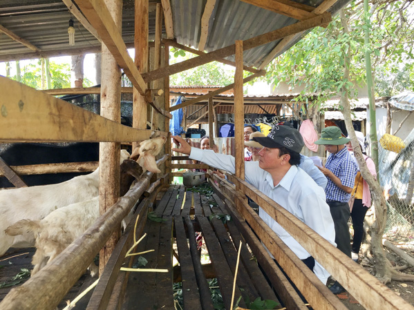 Đoàn khảo sát của Ban Văn hóa-Xã hội HĐND tỉnh khảo sát tình hình chăn nuôi dê của gia đình ông Dương Văn Trắng (dân tộc Châu ro, khu phố Nông Trường, phường Hắc Dịch, TX.Phú Mỹ).