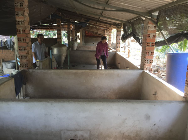 Gia đình ông Trần Văn Quyết (tổ 3, thôn Phước Trung, xã Đá Bạc, huyện Châu Đức) phải bỏ không chuồng nuôi heo  do thiếu diện phục vụ chăn nuôi.