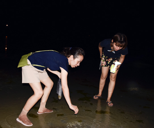 Hai bạn trẻ lang thang biển Côn Đảo đêm.