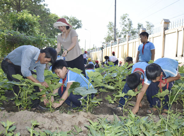 HS Trường TH Láng Dài 1, huyện Đất Đỏ chăm sóc vườn rau gây quỹ “Kế hoạch nhỏ”.