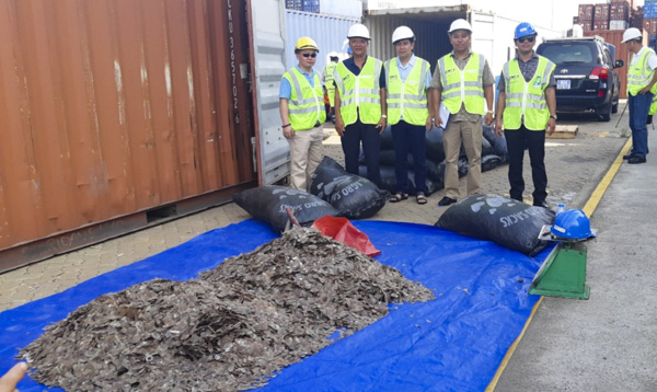 Số lượng vảy tê tê nhập lậu là 5.264kg.