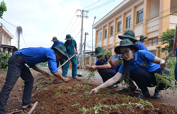 Thanh niên trồng cây tại tuyến đường thanh niên kiểu mẫu (xã Bình Ba), chào mừng Đại hội.