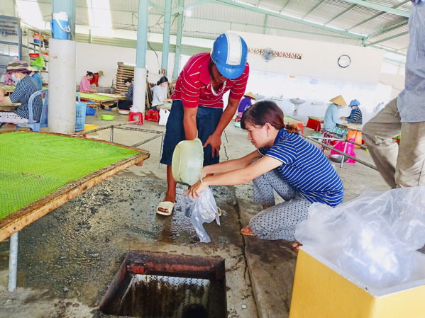Cán bộ Viện nghiên cứu Hải sản 2 (phải) lấy mẫu từ cống chứa nước của HTX Vĩnh Hưng ngày 8/7.