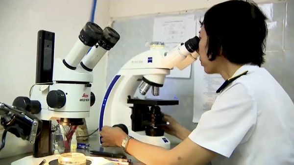 Cán bộ  Cục Thú y vùng 6 thực hiện việc kiểm tra chuyên ngành tại cảng Tân Cảng - Cái Mép (TCIT).
