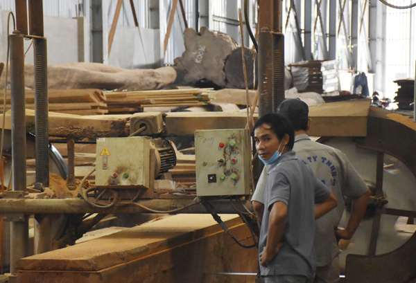 Công nhân xưởng chế biến gỗ của Công ty TNHH Nam Lào (TP.Vũng Tàu) không sử dụng phương tiện bảo vệ cá nhân khi làm việc.