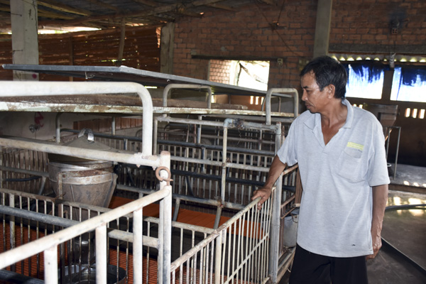 Ông Vũ Văn Tiên (xã Hòa Hội, huyện Xuyên Mộc) bên chuồng trại trống rỗng đã từng là hy vọng của cả gia đình.  Ảnh: QUANG VINH
