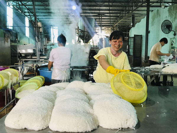 Bà Nguyễn Thị Phấn đưa bún lên bàn đá để nguội - công đoạn cuối cùng của làm bún.