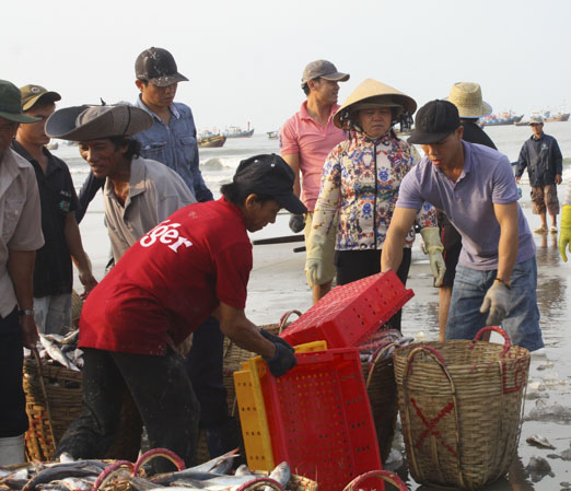 Ngư dân thị trấn Long Hải (huyện Long Điền) vận chuyển cá vào bờ. 