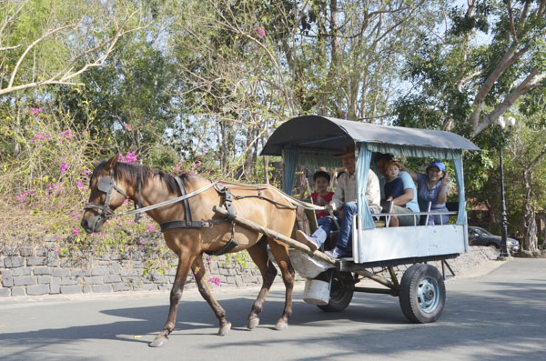 Một gia đình du khách đến từ TP.Hồ Chí Minh “trải nghiệm rừng” trong khuôn viên KDL Sài Gòn – Bình Châu.