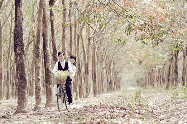 Rừng cao su mùa thay lá. (Nguồn Đất Việt tour)