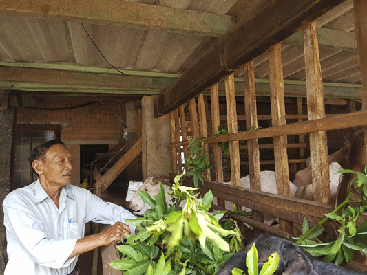 Bà Rịa - Vũng Tàu đã thực hiện nhiều chính sách hỗ trợ giúp hộ nghèo vươn lên làm kinh tế, ổn định cuộc sống, thoát nghèo. Trong ảnh: Ông Vũ Viết Thu (xã Hòa Long, TP.Bà Rịa) từng thuộc diện khó khăn được hỗ trợ vay vốn, làm trang trại nay cuộc sống đã khấm khá hơn.