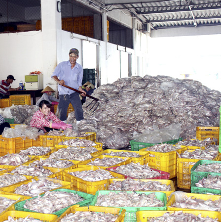 Phân loại cá tại cảng Cát Lở, TP. Vũng Tàu.  Ảnh: QUANG VINH