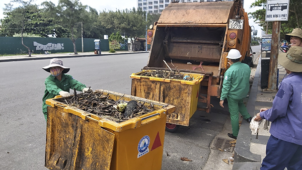 Rác thu gom trên bãi biển được Công nhân Công ty CP dịch vụ môi trường và công trình đô thị Vũng Tàu đưa lên xe chuyên dụng chuyển về bãi tập kết.