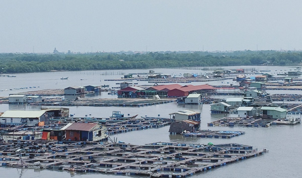 Làng nuôi cá lồng bè trên sông Chà Và.