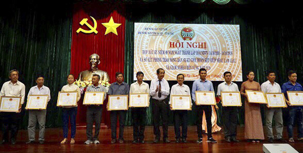 Ông Đoàn Văn Hai, Chủ tịch Hội Nông dân tỉnh trao Bằng khen của UBND tỉnh cho các cá nhân có thành tích xuất sắc trong phong trào thi đua sản xuất kinh doanh giỏi.