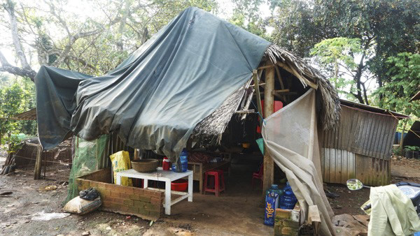Căn nhà lá tạm bợ của gia đình anh Võ Bá Cường tại ấp Liên Đức, xã Xà Bang, huyện Châu Đức.