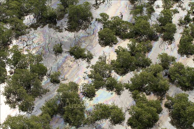 Vệt dầu loang do 60.000 tấn dầu bị tràn ra Vịnh Guanabara thuộc TP.Rio de Janeiro, Brazil. (Nguồn: AFP)