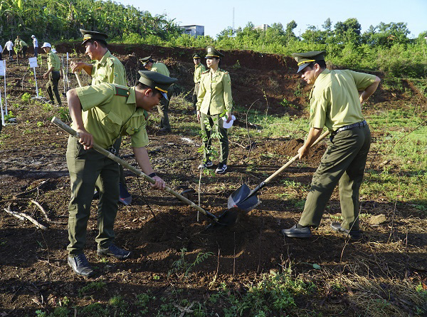 Chi Cục kiểm lâm và các đơn vị phối hợp trồng rừng tại huyện Châu Đức. Ảnh: KIM HỒNG