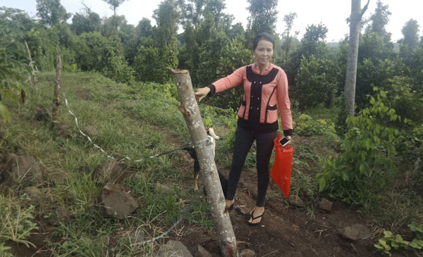 Đường đi vào nhà bà Lâm Thị Thanh Lạc và các hộ dân (tổ 7, thôn Quảng Thành 2, xã Nghĩa Thành, huyện Châu Đức) đã bị ông Nguyễn Đông trồng cọc gỗ, căng dây thép gai rào chặn lại.