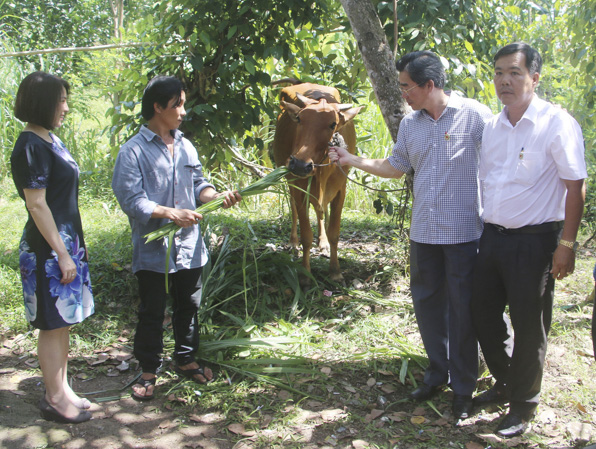 Đại diện Hội CTĐ tỉnh và Công ty Điện lực TNHH BOT Phú Mỹ 3 trao bò giống cho gia đình anh Nguyễn Phương Bình (xã Xà Bang, huyện Châu Đức), tháng 10/2018.