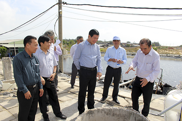 Ông Nguyễn Hồng Lĩnh (thứ ba từ phải qua), Ủy viên Trung ương Đảng, Bí thư Tỉnh ủy, Chủ tịch HĐND tỉnh tham quan trại nuôi tôm của Công ty TNHH Ngọc Tùng  