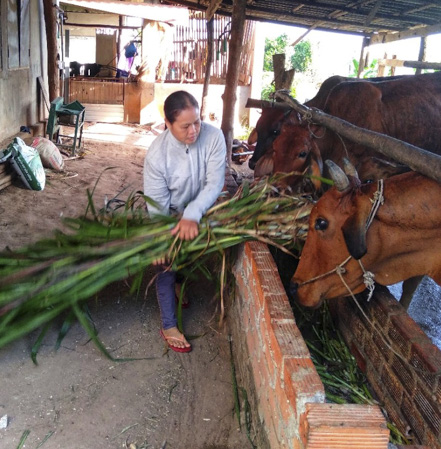 Bà Bùi Thị Xuân (xã Bưng Riềng, huyện Xuyên Mộc) được hỗ trợ vốn và các chính sách ưu đãi dành cho hộ nghèo để phát triển kinh tế.