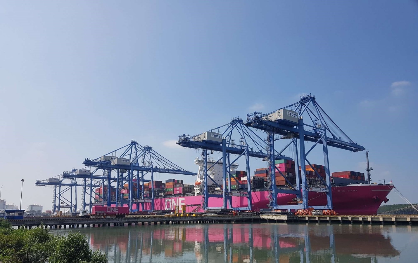 Tàu ONE GRUS cập cảng TCIT.