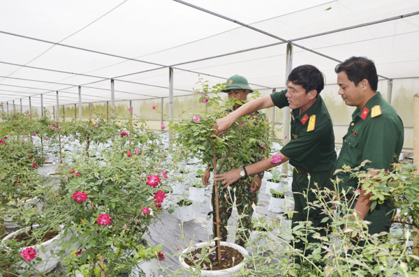 Trung tá Đoàn Xuân Sơn (giữa) hướng dẫn chiến sĩ chăm sóc hoa hồng.