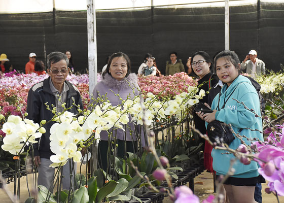 Đà Lạt vẫn là điểm đến hàng đầu được nhiều người chọn trong dịp Tết. Trong ảnh: Du khách tham quan Làng hoa Vạn Thành (Đà Lạt).  