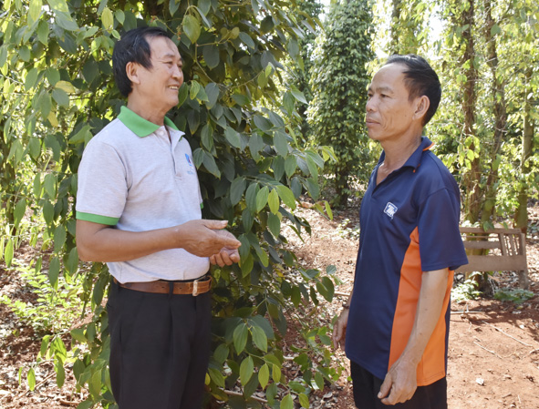 Ông Nguyễn Văn Phú (bìa trái) đến nhà tuyên truyền, phổ biến chính sách của Đảng, pháp luật của Nhà nước cho người dân ấp 1 (xã Hòa Bình, huyện Xuyên Mộc).