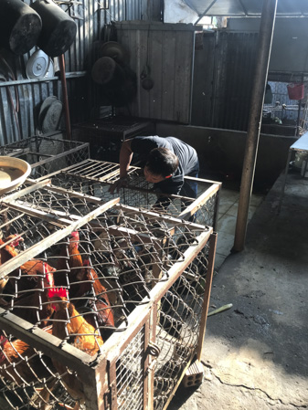 Một điểm nuôi và giết mổ gia cầm sống trong dân cư tại đường Lưu Chí Hiếu, TP. Vũng Tàu.