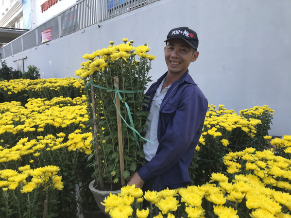 Khách chọn mua hoa Tết trên đường Nguyễn Hữu Cảnh, TP.Vũng Tàu. Ảnh: THANH NGA 