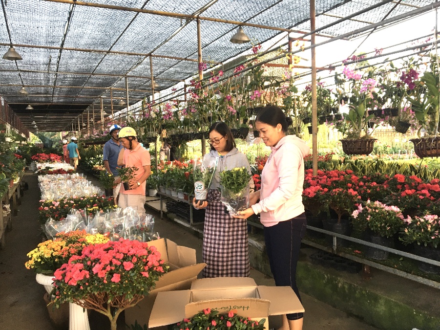 Người dân TP. Vũng Tàu chọn mua những giỏ hoa nhỏ để về chưng Tết